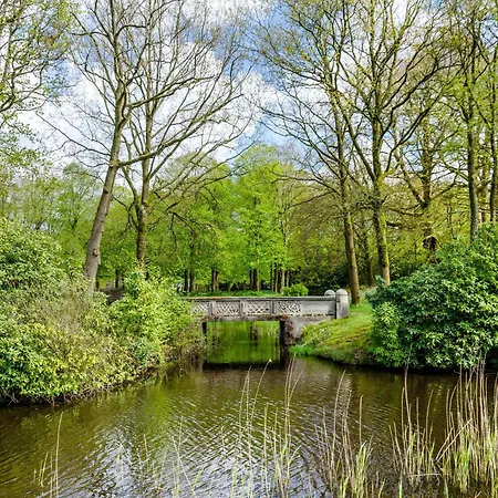 Hausrosengarten Hage